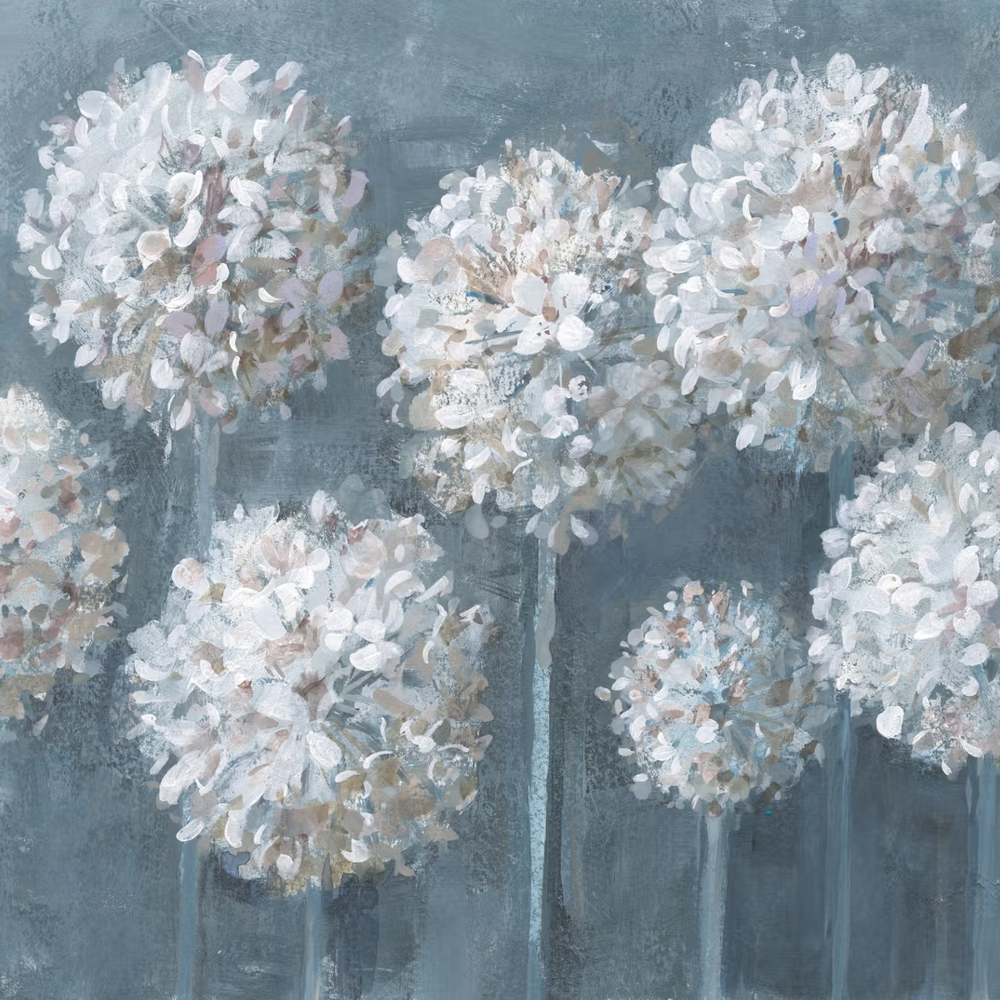 White Allium