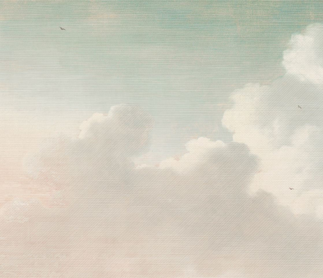 Dromerige wolk
